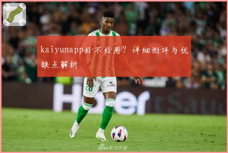 kaiyunapp好不好用？详细测评与优缺点解析