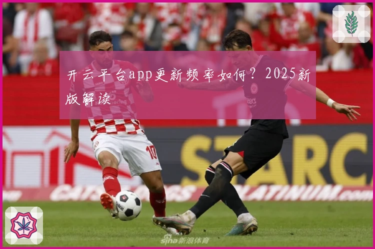 开云平台app更新频率如何？2025新版解读