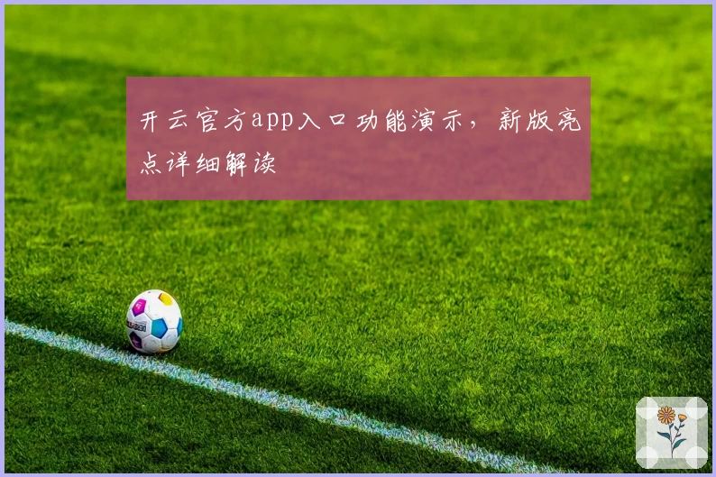 开云官方app入口功能演示，新版亮点详细解读